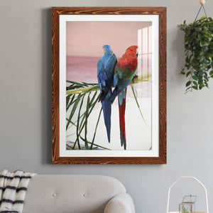 Palm Parrots - Barnwood