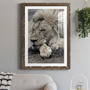 Sleepy Afternoon in Masai Mara - Barnwood Framed Art Print