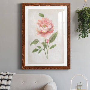 Grandiflora III - Barnwood Framed Art Print