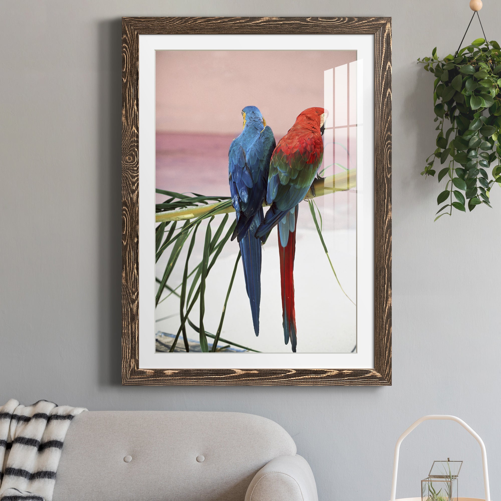 Palm Parrots - Barnwood