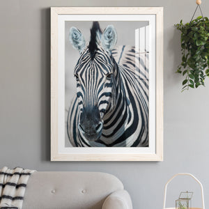 Namibia Zebra - Premium Framed Print - Distressed Barnwood Frame - Ready to Hang