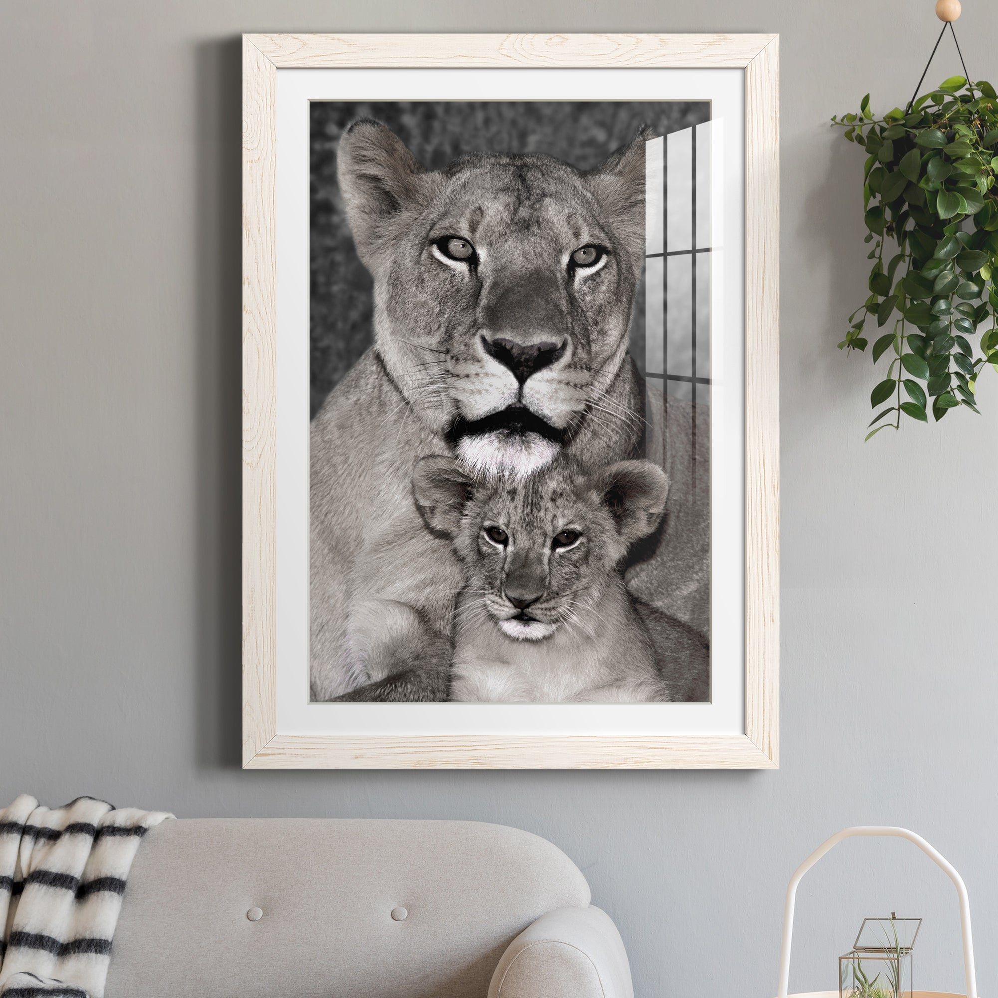 Lioness and Cub - Barnwood Framed Art Print