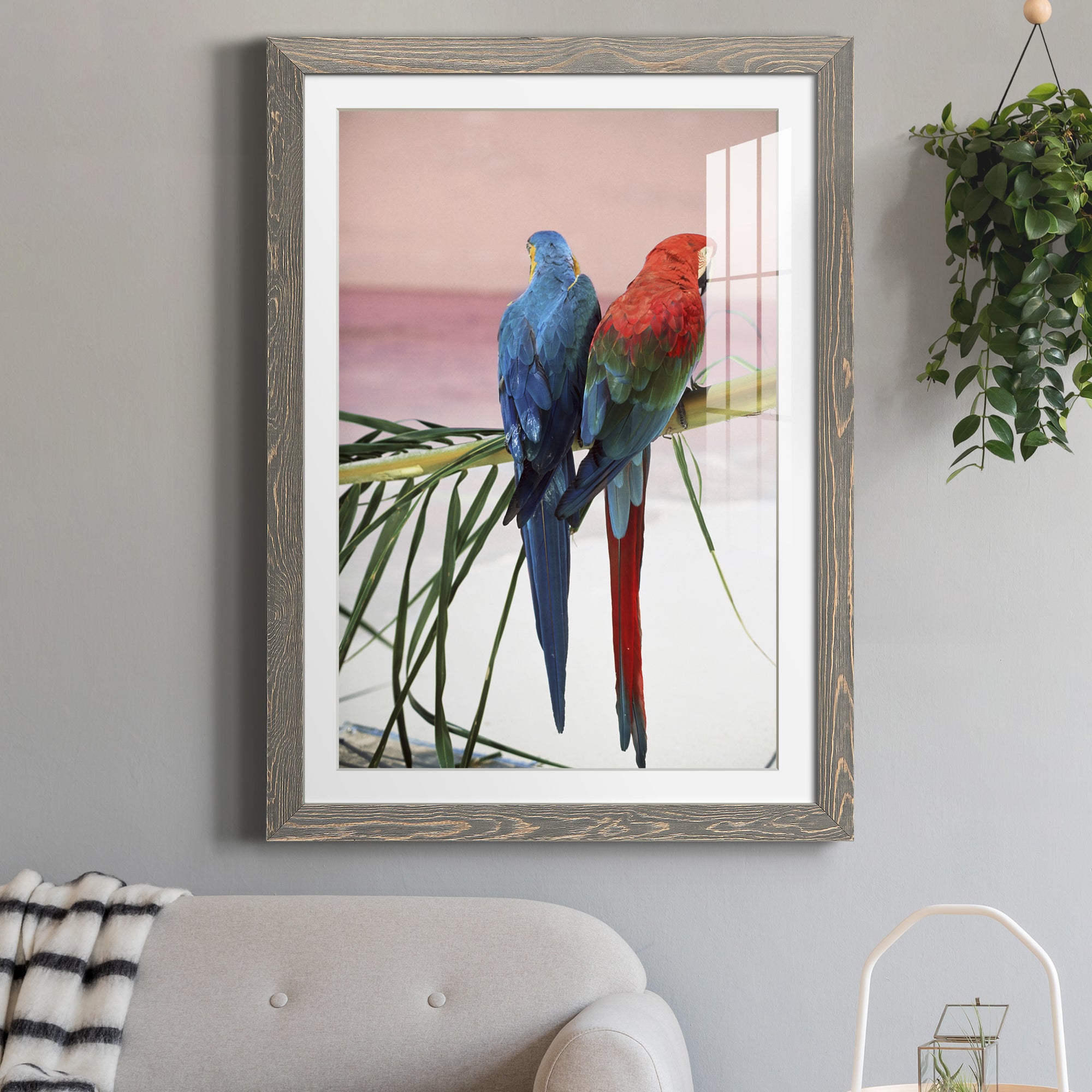 Palm Parrots - Barnwood