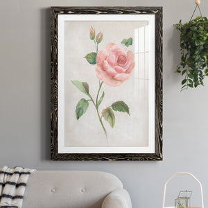 Grandiflora I - Barnwood Framed Art Print
