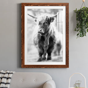 Yorkshire Highland - Premium Framed Print - Distressed Barnwood Frame - Ready to Hang