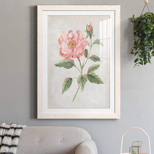 Grandiflora II - Barnwood Framed Art Print