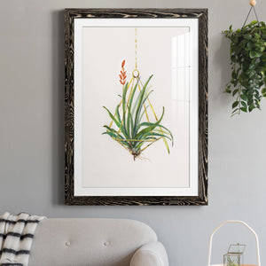 Gardenaire I - Barnwood Framed Art Print