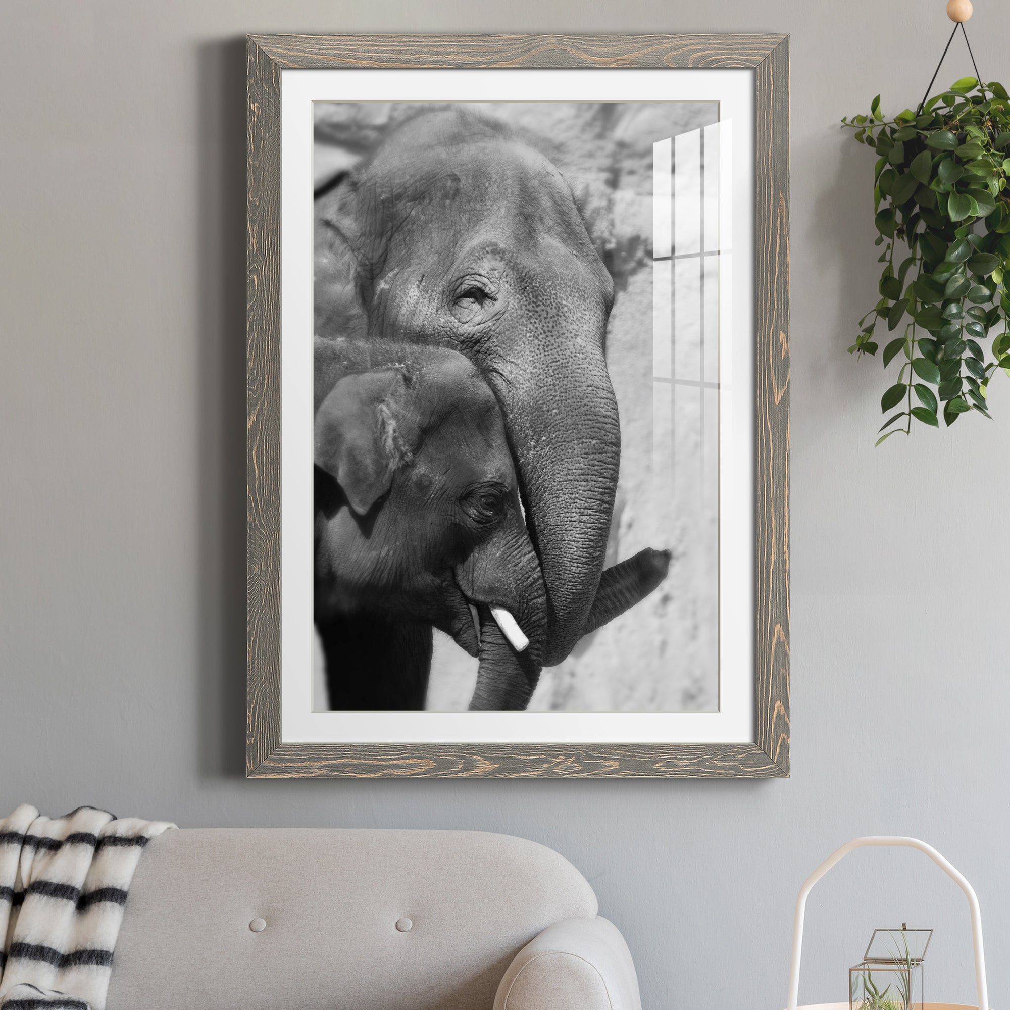 Tender Moment - Barnwood Framed Art Print