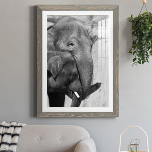 Tender Moment - Barnwood Framed Art Print