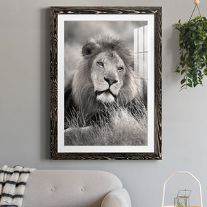 Pride of the Pride - Barnwood Framed Art Print