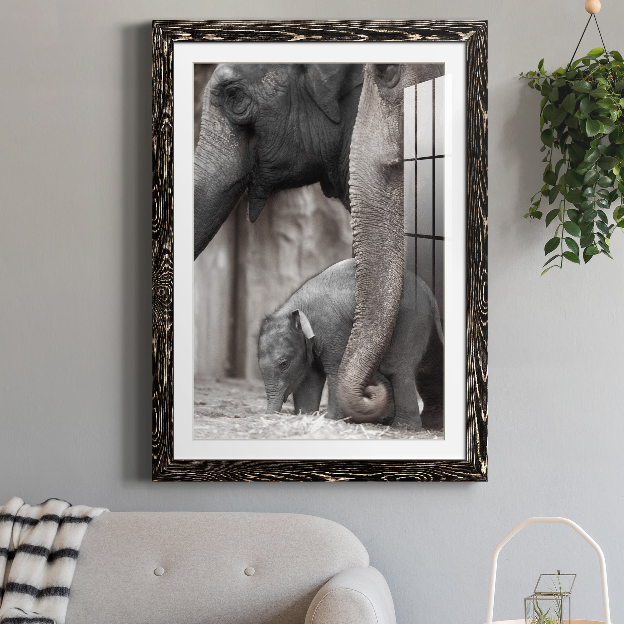 Family Moment - Barnwood Framed Art Print