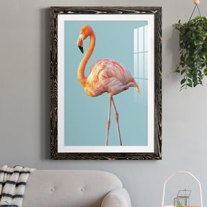 Flamingo - Barnwood
