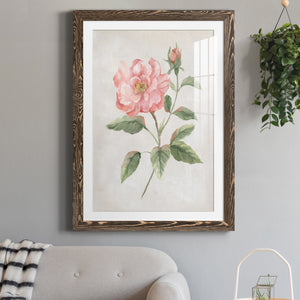Grandiflora II - Barnwood Framed Art Print