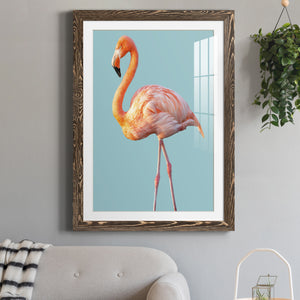Flamingo - Barnwood