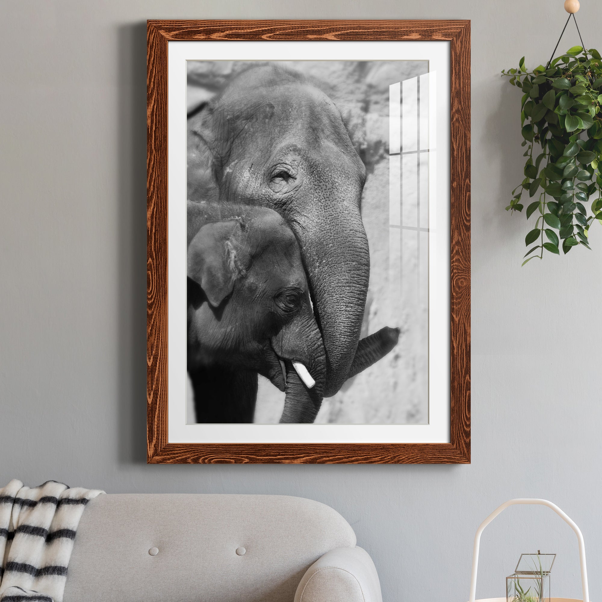 Tender Moment - Barnwood Framed Art Print
