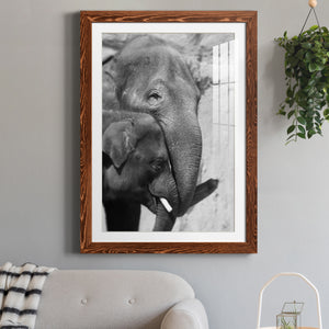 Tender Moment - Barnwood Framed Art Print