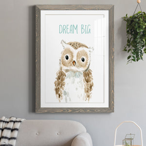Dream Big Owl - Barnwood