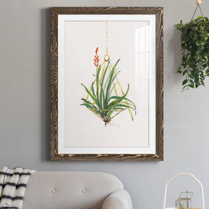 Gardenaire I - Barnwood Framed Art Print
