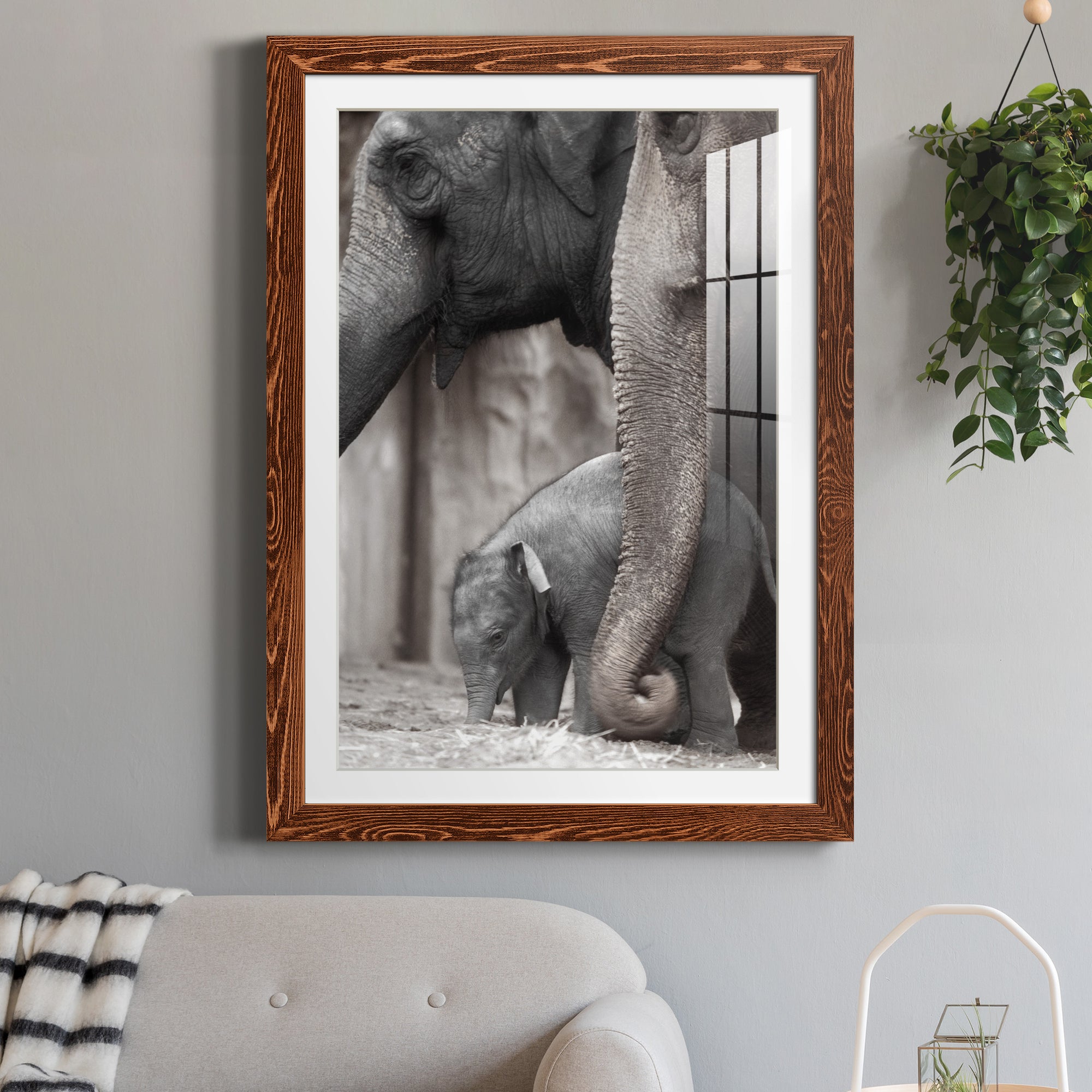 Family Moment - Barnwood Framed Art Print