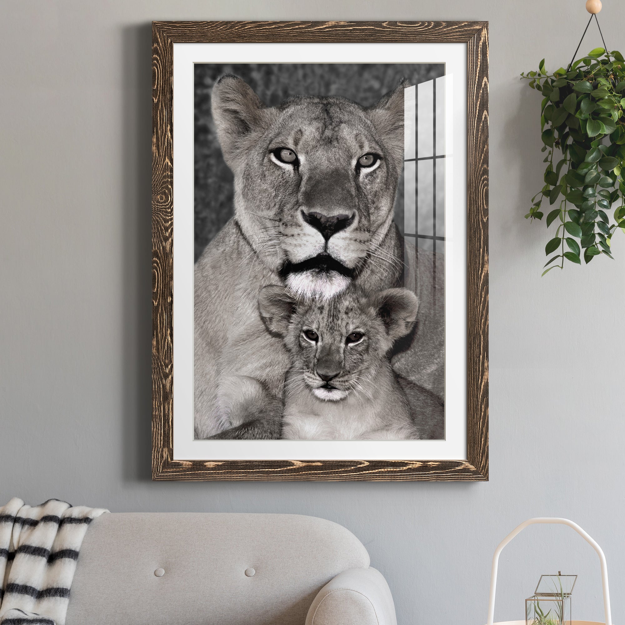 Lioness and Cub - Barnwood Framed Art Print