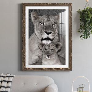 Lioness and Cub - Barnwood Framed Art Print