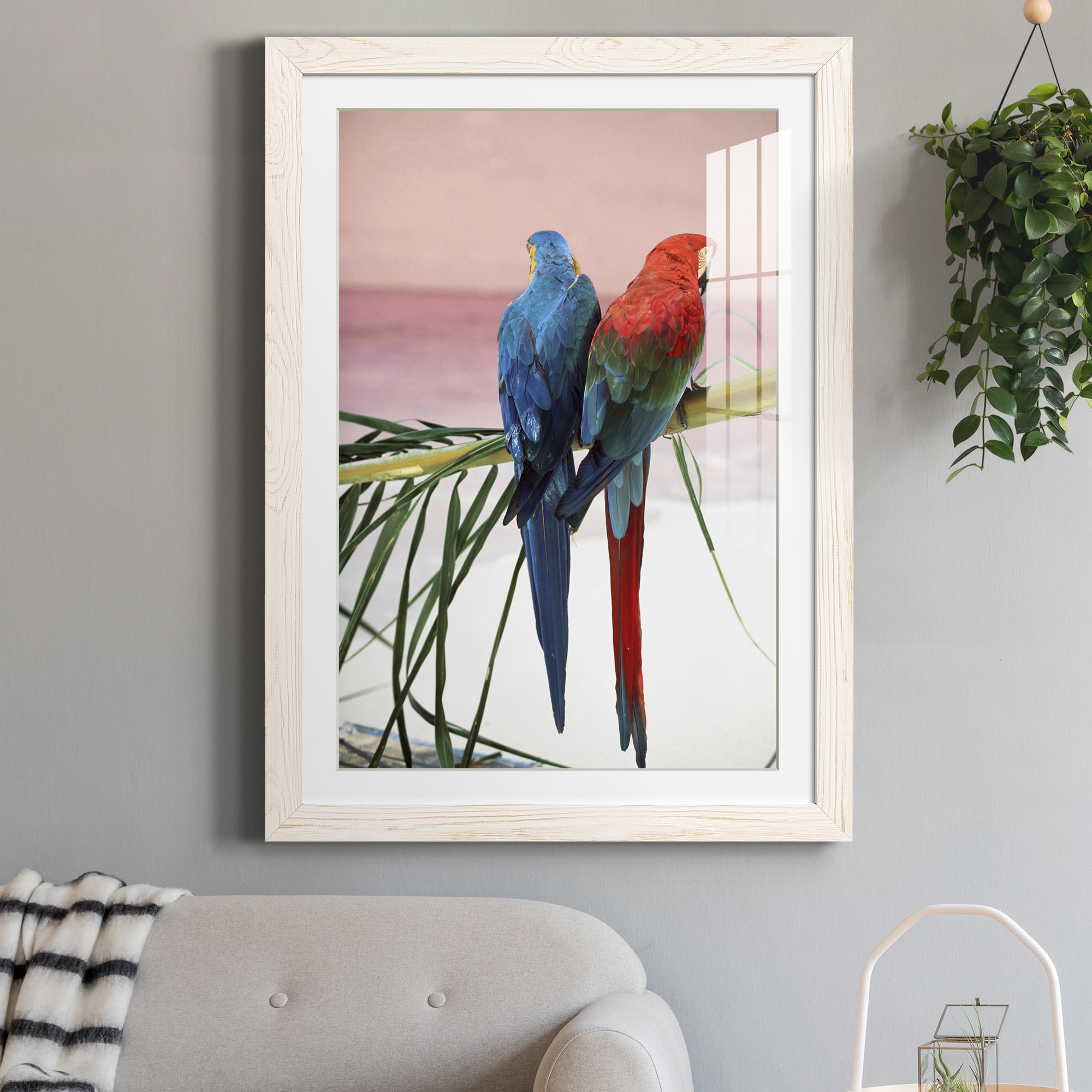 Palm Parrots - Barnwood