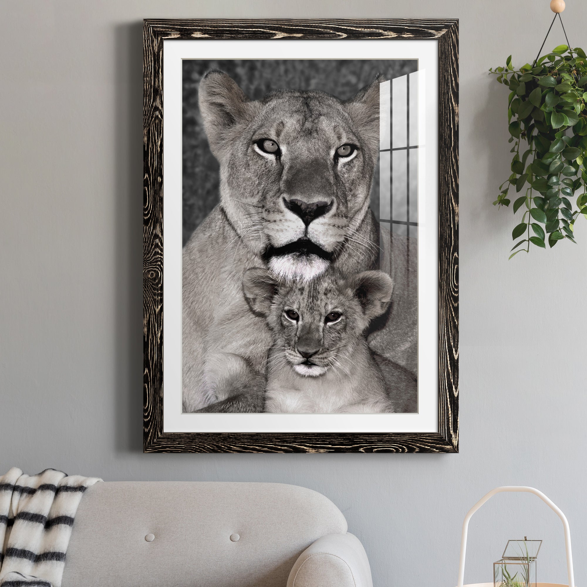 Lioness and Cub - Barnwood Framed Art Print