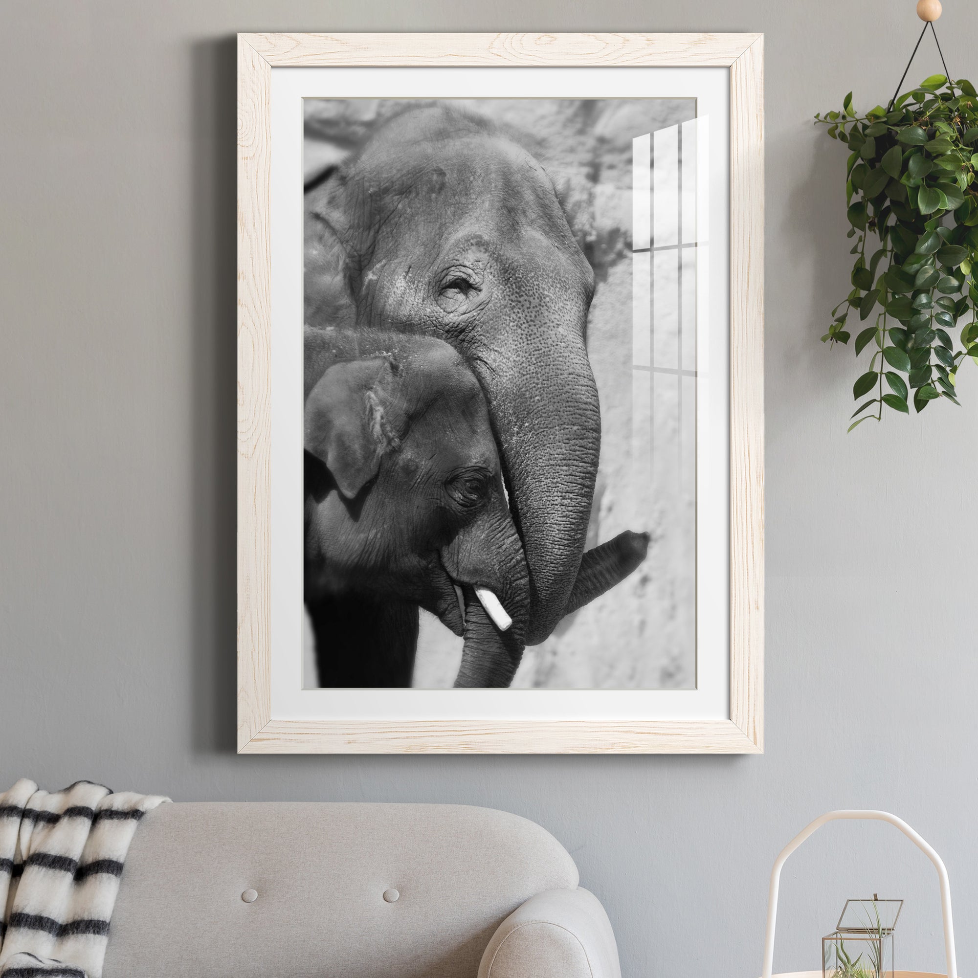 Tender Moment - Barnwood Framed Art Print
