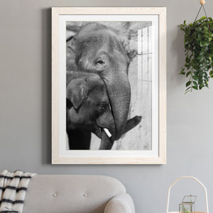 Tender Moment - Barnwood Framed Art Print