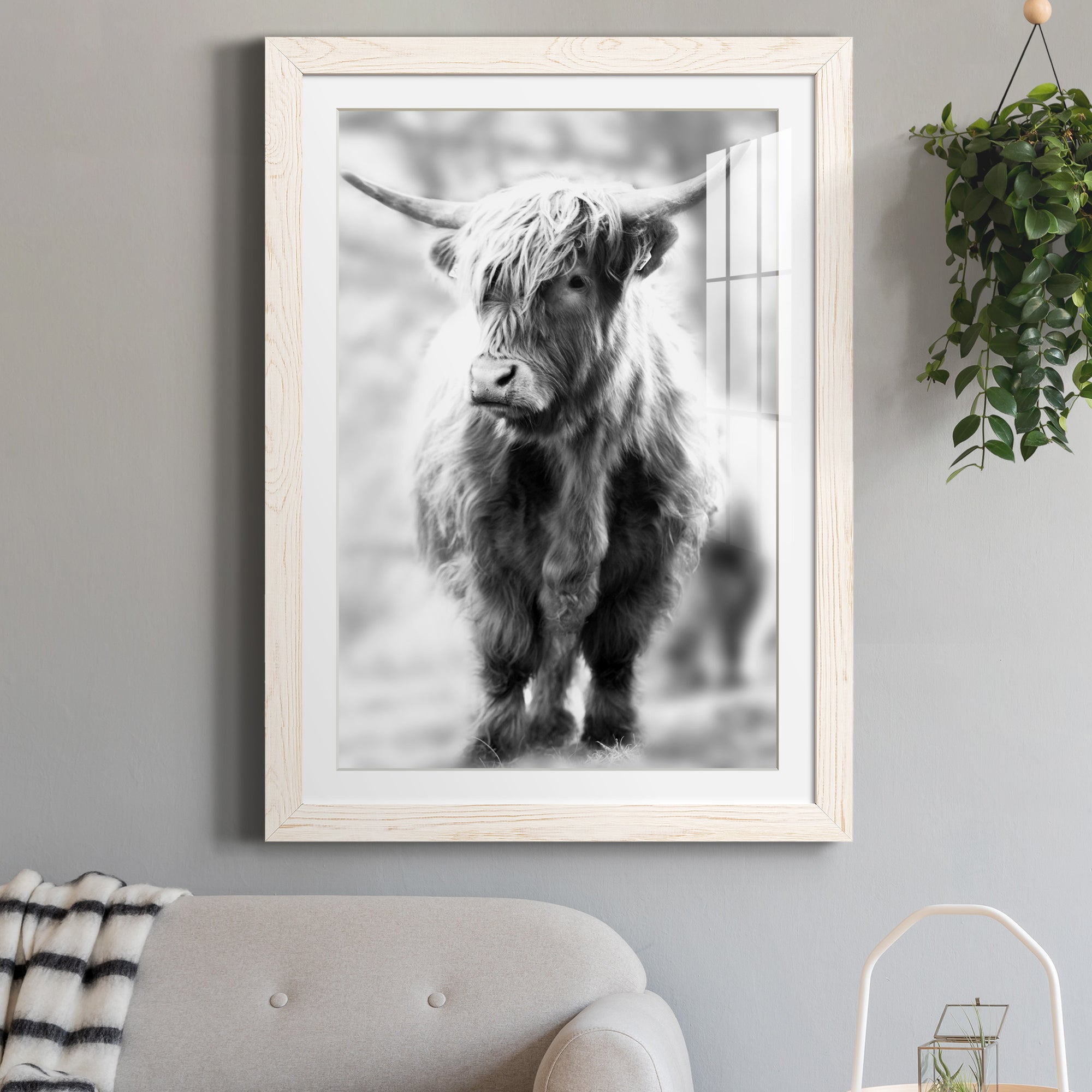 Yorkshire Highland - Premium Framed Print - Distressed Barnwood Frame - Ready to Hang