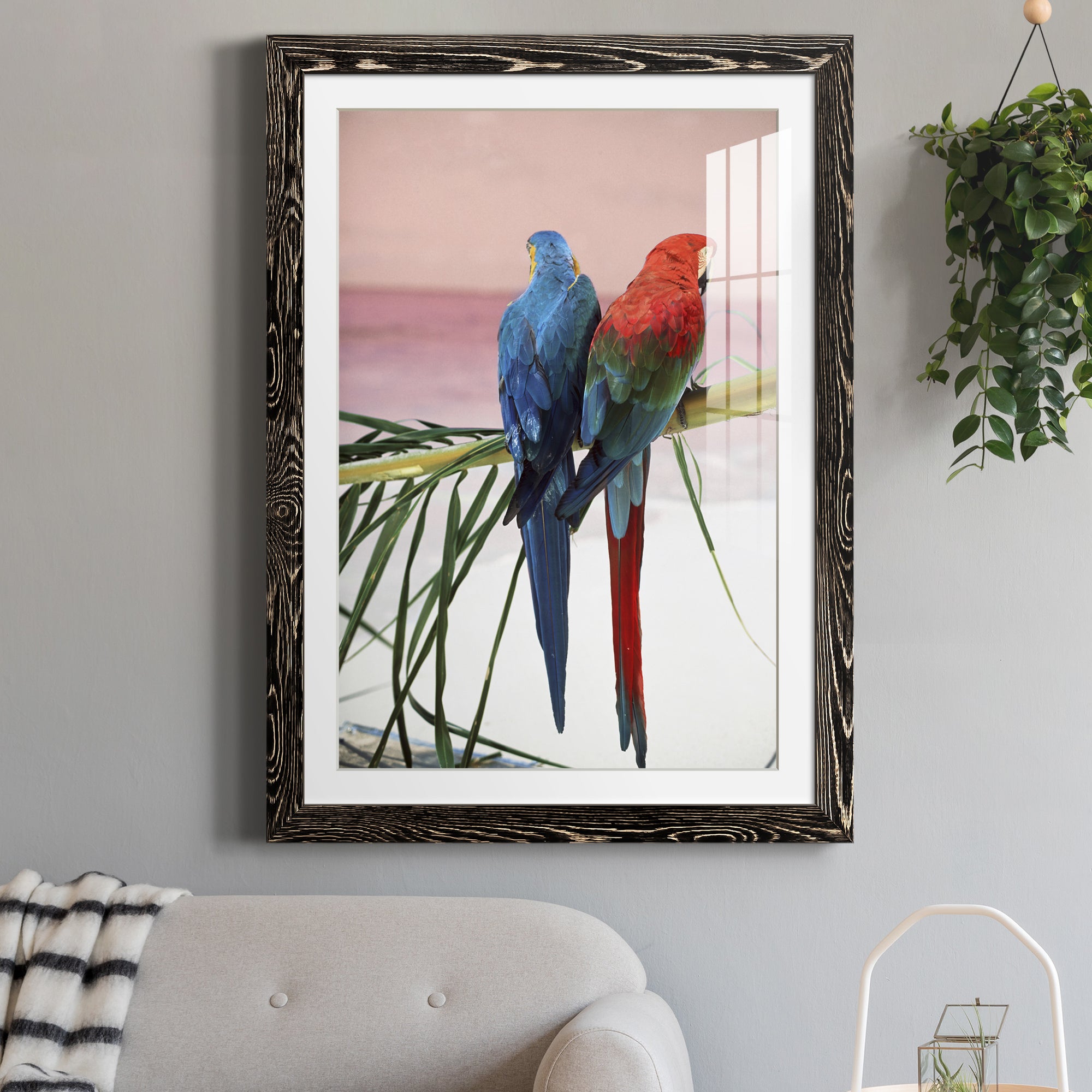 Palm Parrots - Barnwood