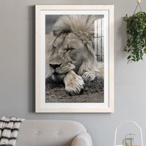 Sleepy Afternoon in Masai Mara - Barnwood Framed Art Print