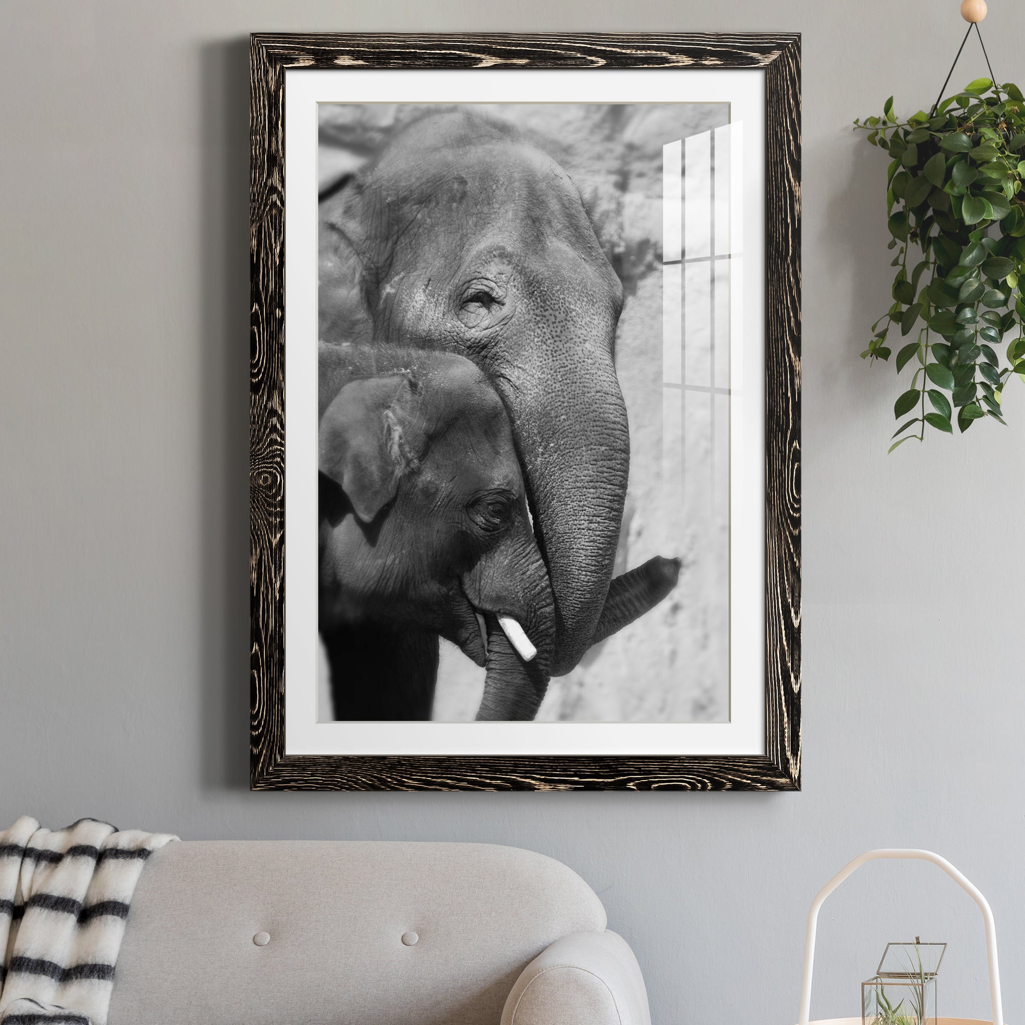Tender Moment - Barnwood Framed Art Print