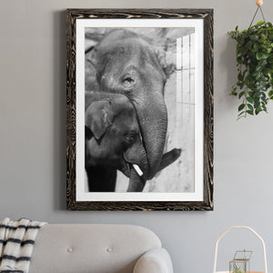 Tender Moment - Barnwood Framed Art Print