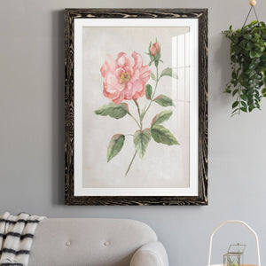 Grandiflora II - Barnwood Framed Art Print