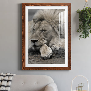 Sleepy Afternoon in Masai Mara - Barnwood Framed Art Print