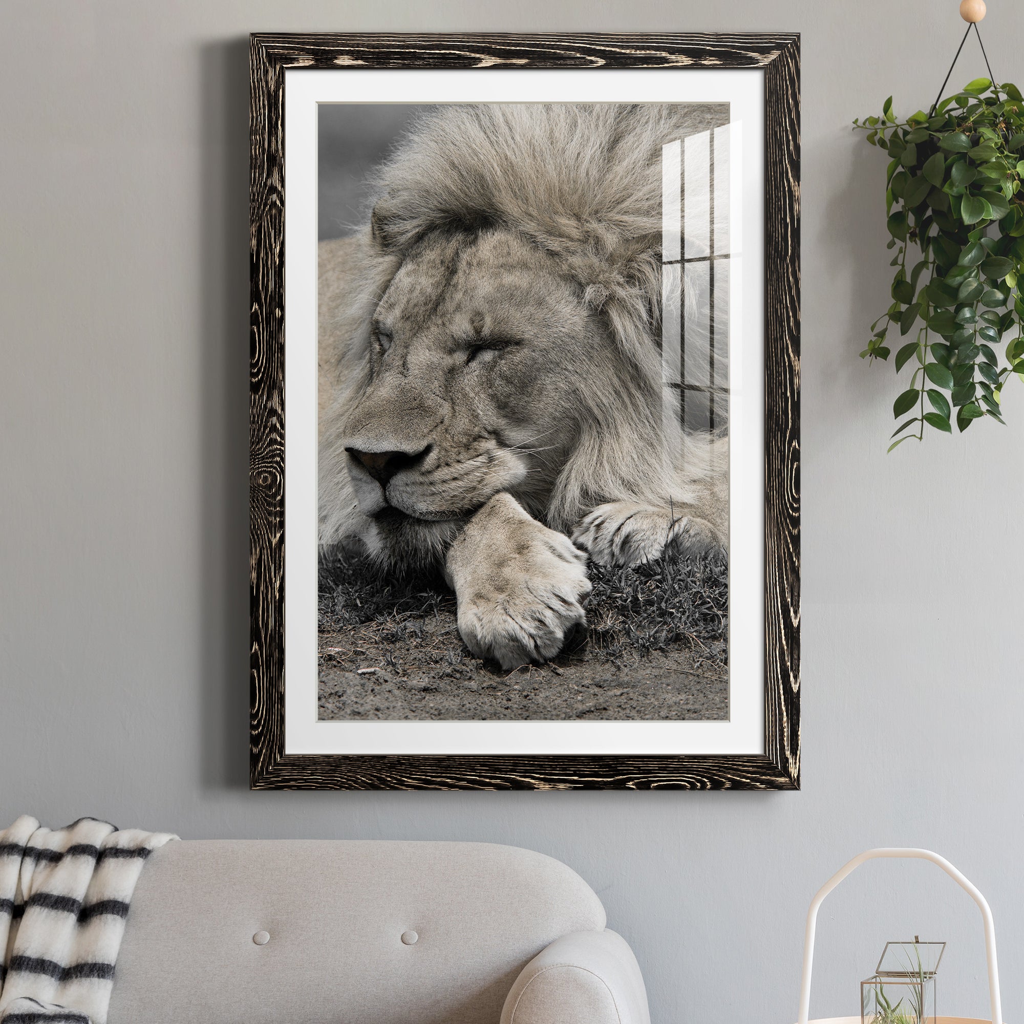 Sleepy Afternoon in Masai Mara - Barnwood Framed Art Print