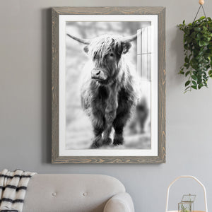 Yorkshire Highland - Premium Framed Print - Distressed Barnwood Frame - Ready to Hang