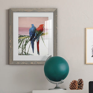 Palm Parrots - Barnwood