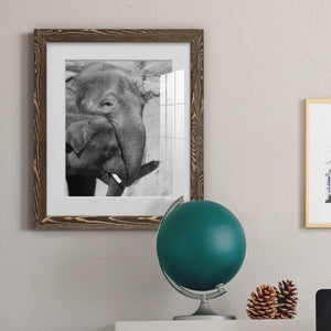 Tender Moment - Barnwood Framed Art Print