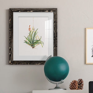 Gardenaire I - Barnwood Framed Art Print