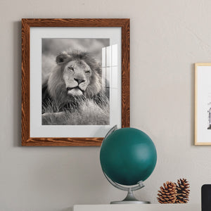 Pride of the Pride - Barnwood Framed Art Print