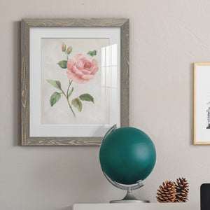 Grandiflora I - Barnwood Framed Art Print