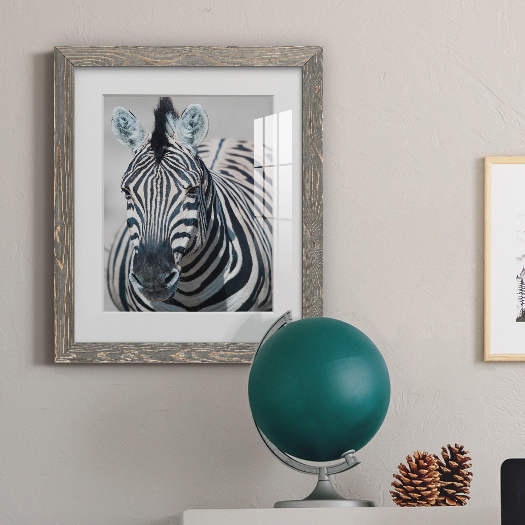 Namibia Zebra - Premium Framed Print - Distressed Barnwood Frame - Ready to Hang