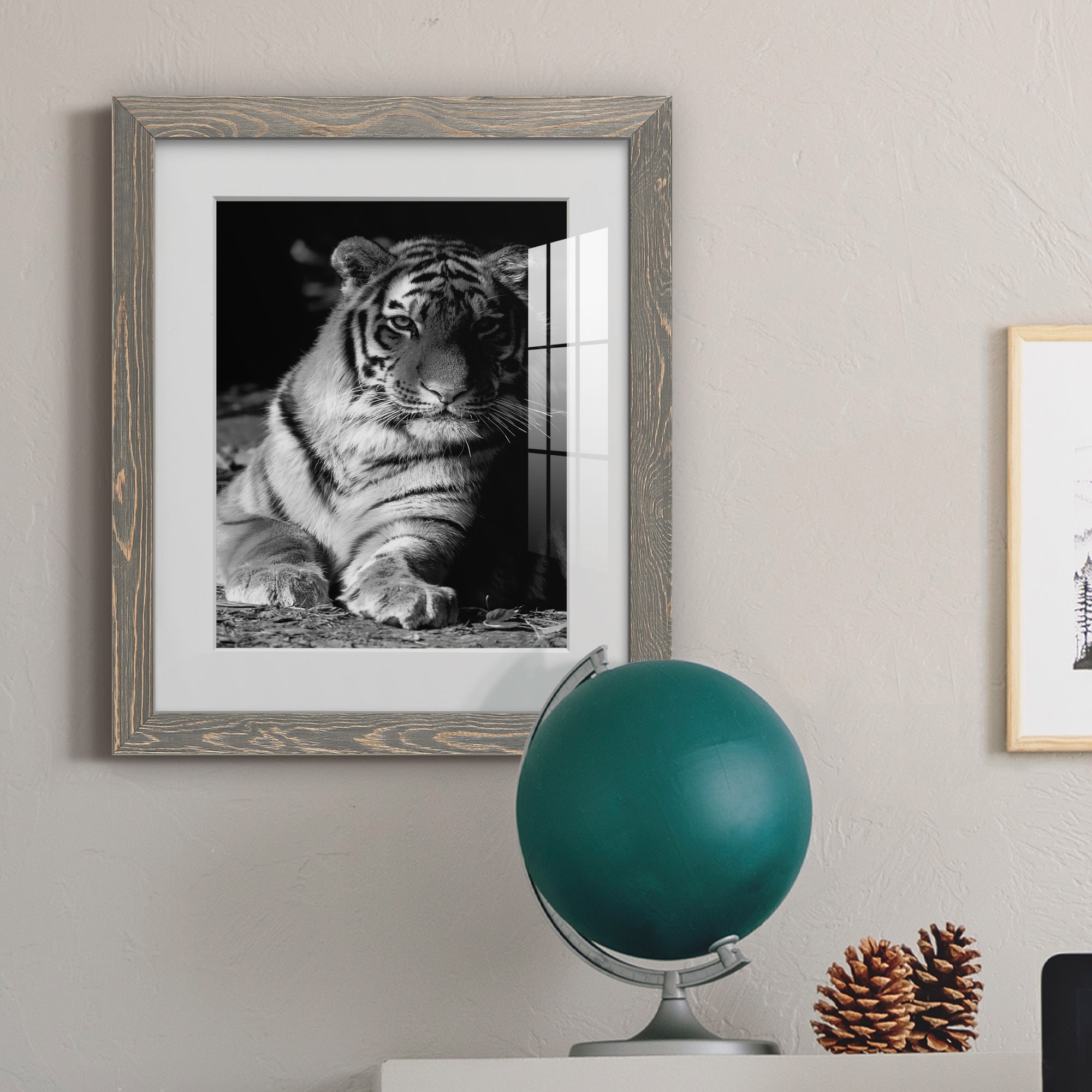Tiger Repose - Barnwood Framed Art Print