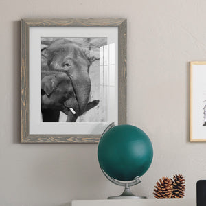 Tender Moment - Barnwood Framed Art Print