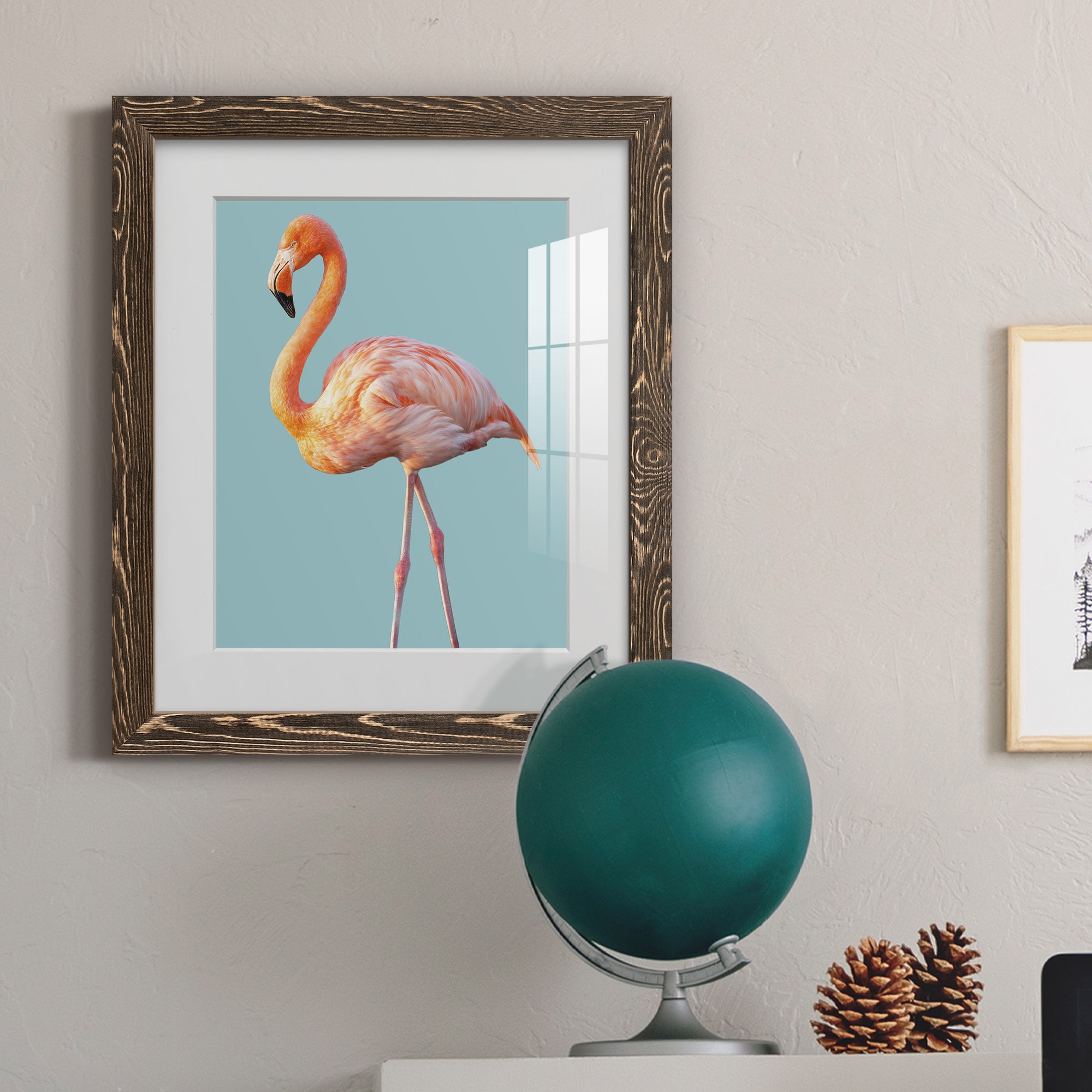 Flamingo - Barnwood