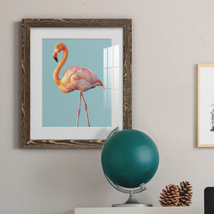 Flamingo - Barnwood