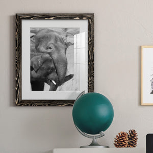 Tender Moment - Barnwood Framed Art Print