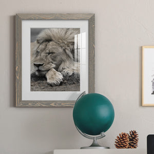 Sleepy Afternoon in Masai Mara - Barnwood Framed Art Print
